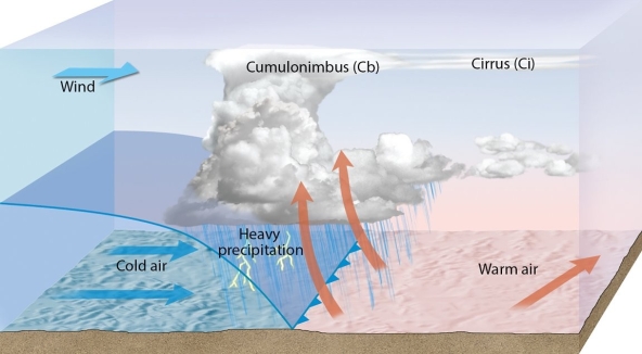    Examine the figure, and then evaluate the truthfulness of this statement:  The figure shows a cold front. 