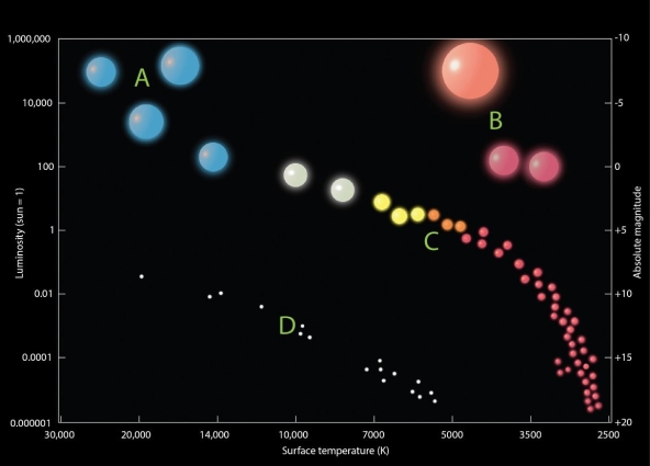   Examine the figure. Which of the four lettered locations on this graph is closest to the position that Earth's Sun will end up in at the end of its stellar life cycle? A) A B) B C) C D) D