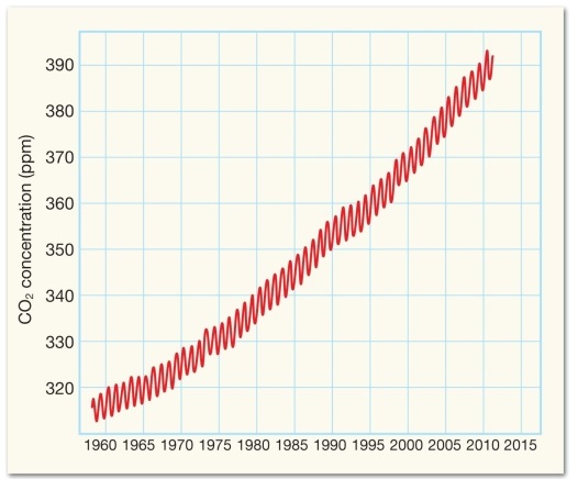 <strong>Consider the following diagram,and then answer the question below. What best explains the bumps seen in the seen in the CO₂ concentrations on the graph above?</strong> A)greater amounts of CO₂ released by the burning of fossil fuels for heat during the winter B)higher levels of traffic producing more CO₂ during the summer travel season C)changes in plant growth that result in less CO₂ being absorbed during the dormant season D)a cyclic pattern in the eruption of volcanoes,causing more CO₂ to be released each spring