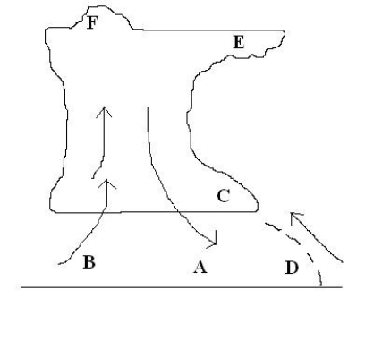    Refer to the diagram of a thunderstorm above to answer the following questions. -Where would you expect to find precipitation occurring in this thunderstorm? A) Letter A B) Letter B C) Letter D D) Letter E