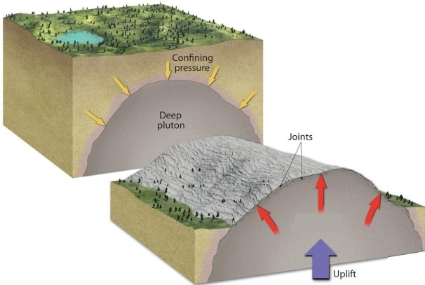 What process does the diagram below illustrate?   
