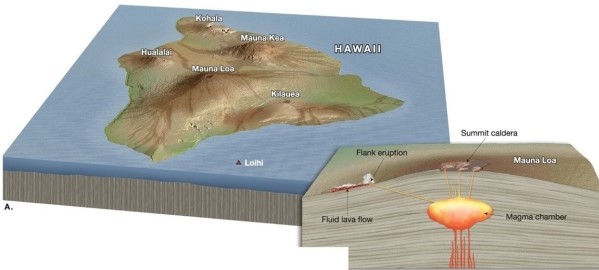Use complete sentences, correct spelling, and the information presented in chapter 5 to answer the questions below. -What type of volcano is shown in the diagram below?   