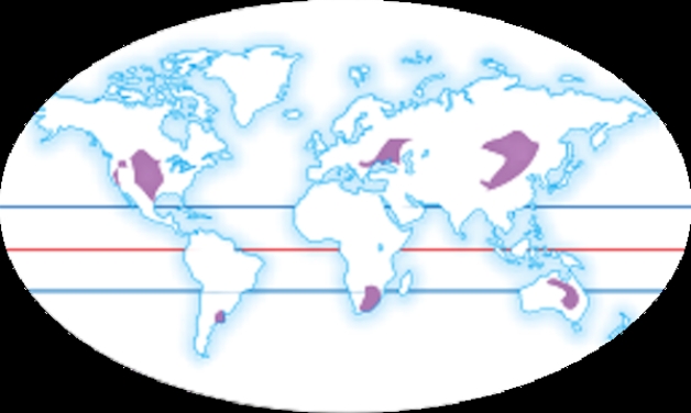    Which ecosystem is shown as shaded areas in this map? A) Tropical rain forests B) Desert C) Coniferous forests D) Temperate deciduous forests E) Temperate grasslands