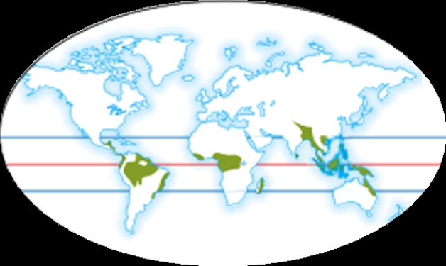    Which ecosystem is shown in the shaded areas of this global map? A) Coniferous forests B) Temperate Grasslands C) Tropical Rain Forests D) Temperate deciduous forest E) Desert
