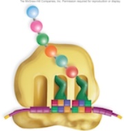 <strong>Figure: This figures shows translation elongation.What specific step has just finished?</strong> A)A tRNA carrying an amino acid has attached to the A site. B)The stop codon has been reached,and translation has stopped. C)An amino acid was added to the peptide. D)The ribosome moved so that the peptide is now on the P site and the empty tRNA is on the E site. E)The empty tRNA has left the ribosomE.