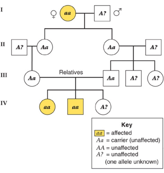 This figure shows a human pedigree.Based on the information presented in this figure,what type of disorder would this be?    A) due to multiple alleles B) codominant C) autosomal recessive D) autosomal dominant E) incomplete dominance