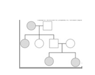    -This figure shows a human pedigree.What is the genotype of the youngest members of the family (bottom row) ? A) could be either homozygous dominant or heterozygous B) homozygous dominant C) could be either homozygous recessive or heterozygous D) homozygous recessive E) heterozygous