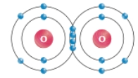   This diagram shows that two oxygen atoms interact A) to form one covalent bond. B) to form two covalent bonds. C) to form four covalent bonds. D) to form an ionic bonD. E) to form hydrogen bonds.