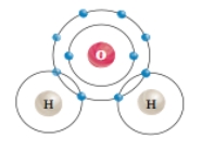   What type of chemical bond occurs specifically between one hydrogen atom and one oxygen atom in a water molecule? A) a polar covalent bond B) an ionic bond C) hydrogen bond D) a nonpolar covalent bond E) a hydrophobic interaction