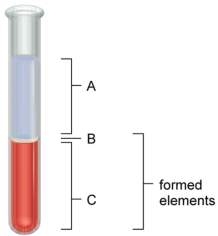 <strong>Figure: The portion of whole blood indicated by the C in the figure shown here</strong> A) represents 60% of the sample and is composed of leukocytes and platelets. B) represents 45% of the sample and is composed of plasma. C) represents 60% of the sample and is composed of erythrocytes. D) represents 55% of the sample and is composed of plasma. E) represents 45% of the sample and is composed of erythrocytes.