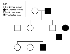 What is a possible inheritance pattern for the pedigree shown here?   A)  autosomal dominant B)  autosomal recessive C)  X-linked recessive D)  could be autosomal recessive or X-linked recessive E)  X-linked dominant