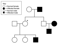 What is/are the possible genotypes of the individual marked with a * on this pedigree if the mode of inheritance is autosomal recessive?   A)  AA B)  AA or Aa C)  aa D)  cannot be determined E)  Aa