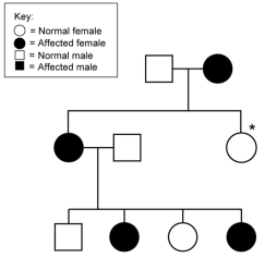 If the mode of inheritance for the pedigree shown here is X-linked dominant, what is/are the possible phenotype(s)  of the individual marked with a *?   A)  X<sup>B</sup>X<sup>B</sup> B)  X<sup>B</sup>X<sup>b</sup> C)  X<sup>b</sup>X<sup>b</sup> D)  X<sup>B</sup>X<sup>B</sup> or X<sup>B</sup>X<sup>b</sup> E)  cannot be determined