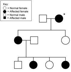If the mode of inheritance for the pedigree shown here is X-linked dominant, what is/are the possible phenotype(s)  of the individual marked with a *?   A)  X<sup>B</sup>X<sup>B</sup> B)  X<sup>B</sup>X<sup>b</sup> C)  X<sup>b</sup>X<sup>b</sup> D)  X<sup>B</sup>X<sup>B</sup> or X<sup>B</sup>X<sup>b</sup> E)  cannot be determined