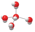 <strong>The figure below is depicting the interaction of water molecules with one another which involves the use of ________. </strong> A) covalent bonds B) hydrogen bonds C) ionic bonds D) valence shells E) solvents