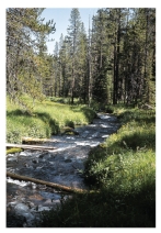 This photo is an example of a(n)    A)  population. B)  community. C)  ecosystem. D)  biosphere. E)  equilibrium population.