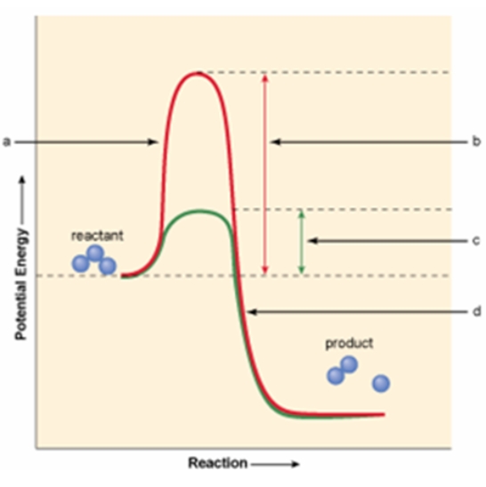 <strong>Which of the areas shown in the figure below indicates the presence of an enzyme in the movement of reactant over to product? </strong> A) a B) b C) c D) d E) Both a & d