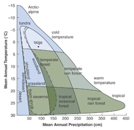 As the average global temperature continues to increase,which type of biome(s) will take over the regions currently inhabited by temperate forests?   A) Tropical seasonal forests B) Tropical rainforests and deserts C) Taiga and woodlands D) Tropical seasonal forests and deserts E) Tundra and savannas