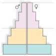 In a population with low death rates,this age structure diagram indicates that   A) the population is decreasing. B) the population is stable. C) the biotic potential must be larger than usual. D) the population will continue to grow for some time.