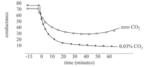 Stomate closure in darkened environment,at time zero,with air (0.03% CO<sub>2</sub>) or CO<sub>2</sub>-free airflow through leaf.(Note: A decrease in conductance indicates inactivation of the proton pump.)    A) Supports both Hypothesis I and II. B) Supports only Hypothesis I. C) Supports only Hypothesis II. D) Supports neither hypothesis.