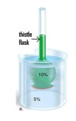 A 10% glucose solution is placed in the thistle tube.The thistle tube is placed in a beaker that contains a 5% glucose solution.Where is the highest concentration of water found?   A) In the 10% solution B) In the 5% solution C) The concentration of water is the same in both solutions. D) None of the above