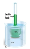 A 10% glucose solution is placed in the thistle tube.The thistle tube is placed in a beaker that contains a 5% glucose solution.There is a differentially permeable membrane across the broad end of the tube,which is permeable to water but not to the sugar glucose.As diffusion occurs:   A) the 10% solution will become more concentrated and the 5% solution will become less concentrated. B) both solutions will become more concentrated. C) the 10% solution will become less concentrated and the 5% solution will become more concentrated. D) both solutions will become less concentrated.