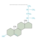 Identify the following molecule:   A) amino acid B) hydrocarbon C) carbohydrate D) alcohol E) cholesterol