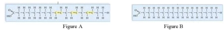 Which Figure is that of an unsaturated fat?   A) Figure A B) Figure B