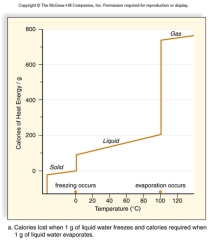 All living things are 70 - 90% water.Use this graph to explain what characteristics of water protect living organisms from rapid temperature changes.  