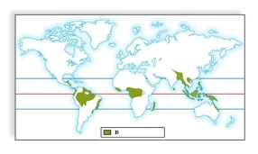 Identify the biomes labeled A, B and C in the maps. Describe the general locations and climate in each biome.          