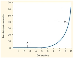 Tell what type of growth model is depicted in the graph and describe the factors that must be met for a population to experience this type of growth. Identify the labeled phases,  A  and  B,  and briefly explain what occurs during these phases.  