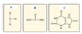 Identify these nitrogenous wastes.   A: _____ B: _____ C: _____<div style=padding-top: 35px> 