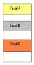 Three fossils are found in undisturbed layers of rock, or strata. Fossil A is closest to the Earth's surface. Given this limited data, what assumptions can you make about these fossils?  