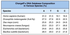 A sample of Chargaff's data on the DNA base composition in various species is provided. Discuss several conclusions that may be drawn from this data?  