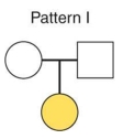 The pedigree chart depicts the inheritance pattern of ____. Circles depict females and squares depict males. Colored shapes represent affected individuals (expressing a trait)  and uncolored shapes are unaffected (do not express a trait) .   A)  an autosomal recessive characteristic with both parents being heterozygous B)  an autosomal dominant characteristic with both parents being homozygous dominant C)  an autosomal recessive characteristic with both parents being homozygous recessive D)  none. 