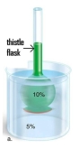 A 10% glucose solution is placed in the thistle tube. The thistle tube is placed in a beaker that contains a 5% glucose solution. There is a differentially permeable membrane across the broad end of the tube, which is permeable to water but not to the sugar glucose. What will occur over time to the water? To the solute?  