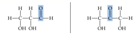 What is the molecular formula of these molecules? How do these molecules differ? Are these the same molecule?  