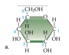 Identify this molecule: A) amino acid B) hydrocarbon C) carbohydrate D) alcohol E) lipid