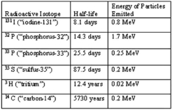   From the above table of radioisotopes and their properties, it is obvious that A)  the longer the half-life, the more energy emitted by the particles. B)  the longer the half-life, the less energy emitted by the particles. C)  radioisotopes of the same element must emit the same amount of energy in their emissions and decay at the same rate. D)  adjusted for time, radioisotopes emit the same amount of energy in their emissions. E)  energy and half-life are not directly related. 