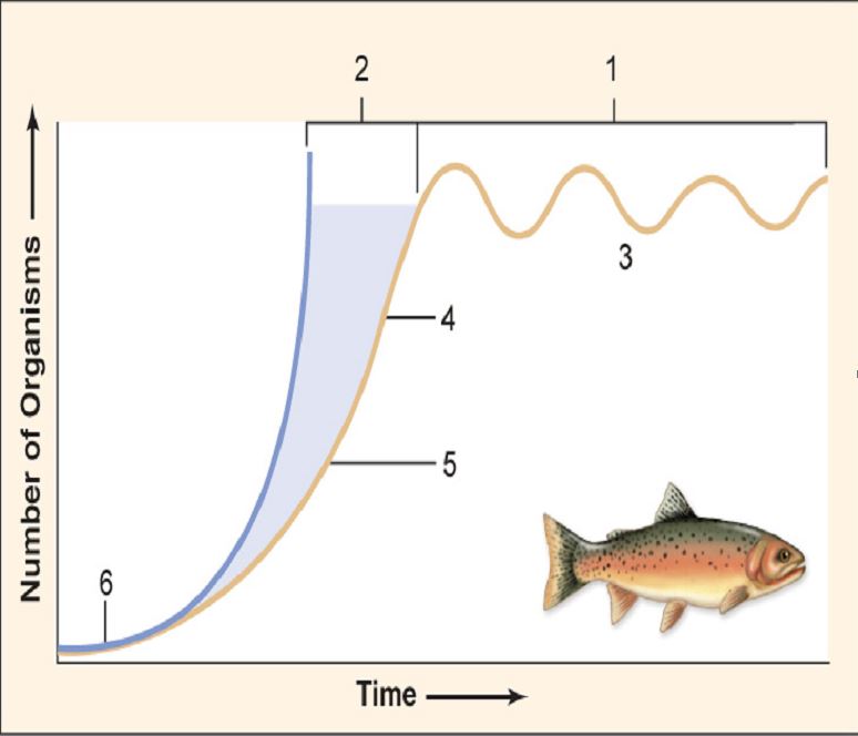   -In Figure 34.03,where does the effect of environmental resistance show on the graph? A)  1 B)  2 C)  3 D)  4 E)  5