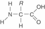The structure shown in Figure 2.24 is   A)  a glucose molecule. B)  a fatty acid molecule. C)  a glycerol molecule. D)  a protein molecule. E)  an amino acid.