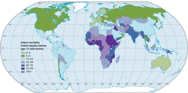 Based on the map of infant mortality rates, China   A) has about the highest mortality in the world. B) is in the lowest category of mortality in the world. C) is shown with a greatly varied mortality within its borders. D) has about the same mortality rate as India.