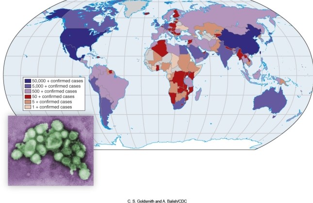 The red coloring in the map of swine flu   A) is a medium value when it perceptually makes the flu appear prevalent in Africa. B) stands out much more that higher values shown in blue. C) makes Africa appear more infected than it really is. D) all of the above. 