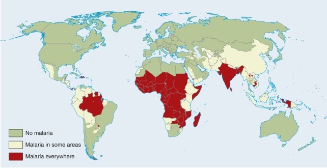 According to the map of malaria, there are two areas where the disease is endemic in South America.They are   A) Paraguay and Uruguay. B) Argentina and parts of Uruguay. C) Eastern Chile and western Argentina. D) Amazon Brazil and a bit of eastern Paraguay.