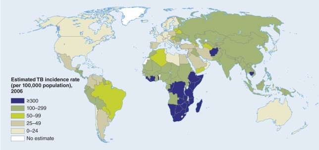 The map of tuberculosis shows endemic patterns   A) in southern and eastern Africa. B) in southern and eastern South America. C) in southern and eastern Australia. D) in southern and eastern North America.