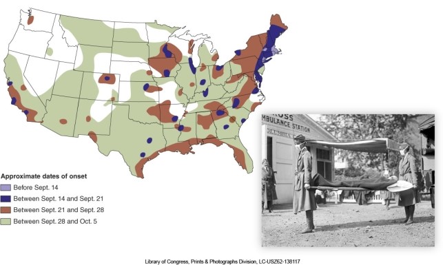 Using the map of occurrence of the Spanish Flu, areas of the U.S.that apparently were never affected are   A) along the eastern seaboard and shown in blue. B) in Appalachia and shown in brown. C) in the Middle West and shown in green. D) in the Great Plains and Northwest and shown in white.