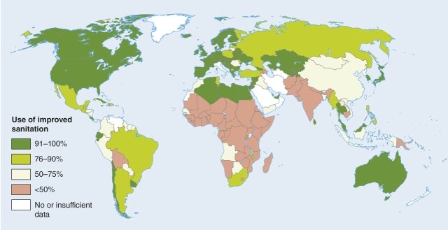 In the map of access to proper sanitation, Bolivia in South America   A) is the country with the poorest access. B) is apparently the richest country on the continent. C) has a great deal more access than Uruguay. D) is about the same as Australia in good sanitation access.