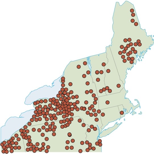 Wilbur Zelinsky's map of classical town names suggests   A) the American people have long harked to their old 'Oktoberfest' German origins. B) the beginning of the American love of old things - antiques and 'Americana'. C) the diffusion of Viking settlers before the English and other Europeans arrived. D) the American fascination with Greek and Roman ideals just after the Revolutionary War.