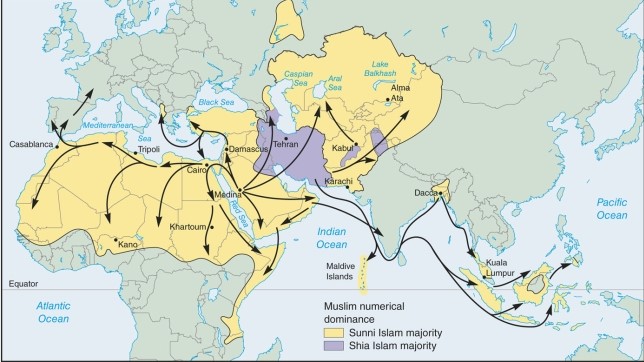The map of the diffusion and geography of Islam shows   A) not a very wide dissemination of the religion. B) a very clustered geography without much diffusion. C) a mainly linear pattern along a main highway. D) two main religious 'sects' or 'regions'.