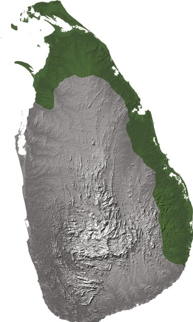 Maps and discussion in the text show that ethnic groups like Sri Lankan Tamils or Tibetans may   A) attempt to unify with local cultures, abandoning their own. B) become brand new ethnicities, which had never been witnessed before. C) try to reinforce their ethnicity by becoming independent countries. D) virtually disappear after severe repression and persecution.